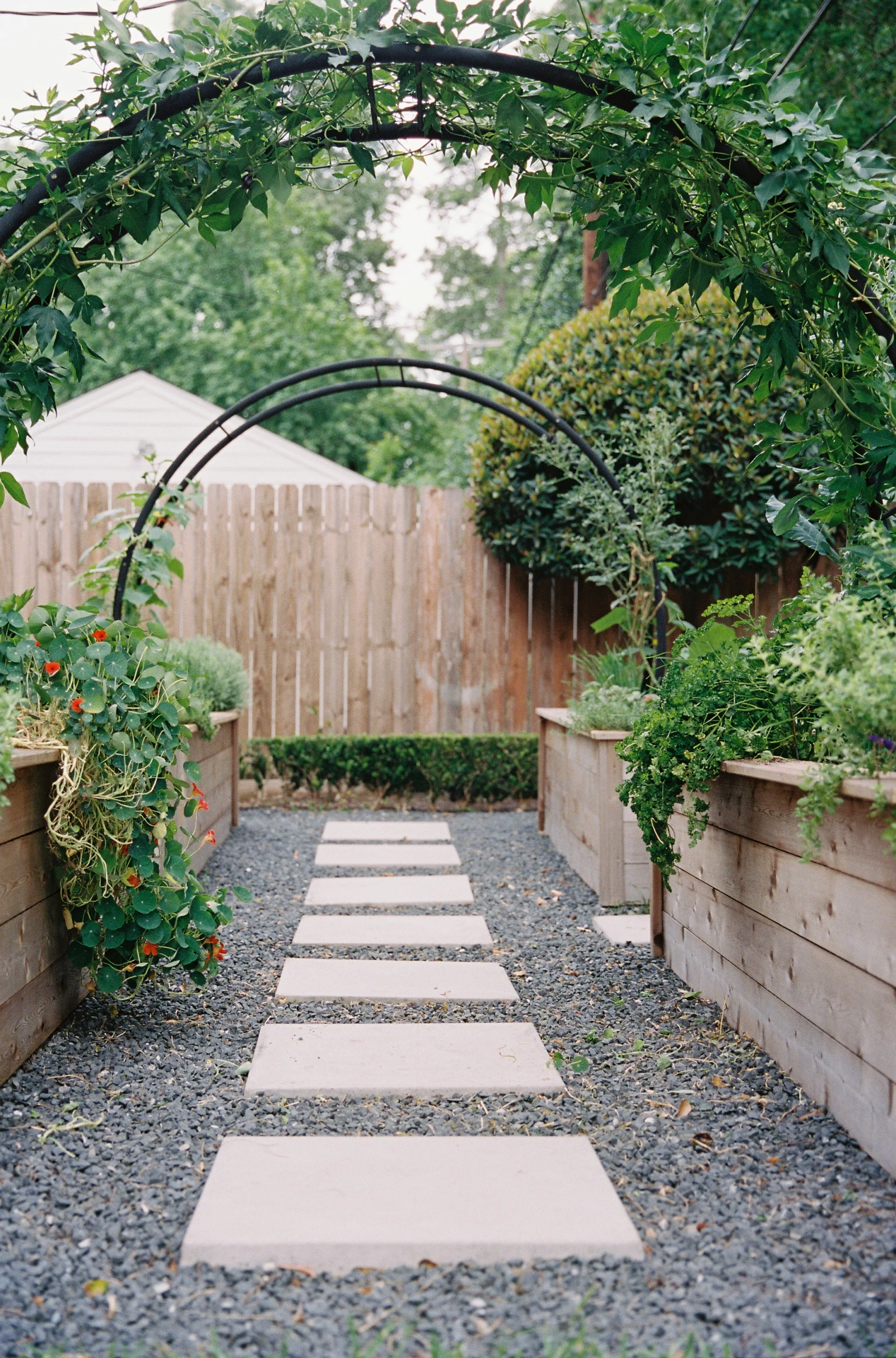 Arch Garden Trellis Ideas from Nicole Burke of Gardenary