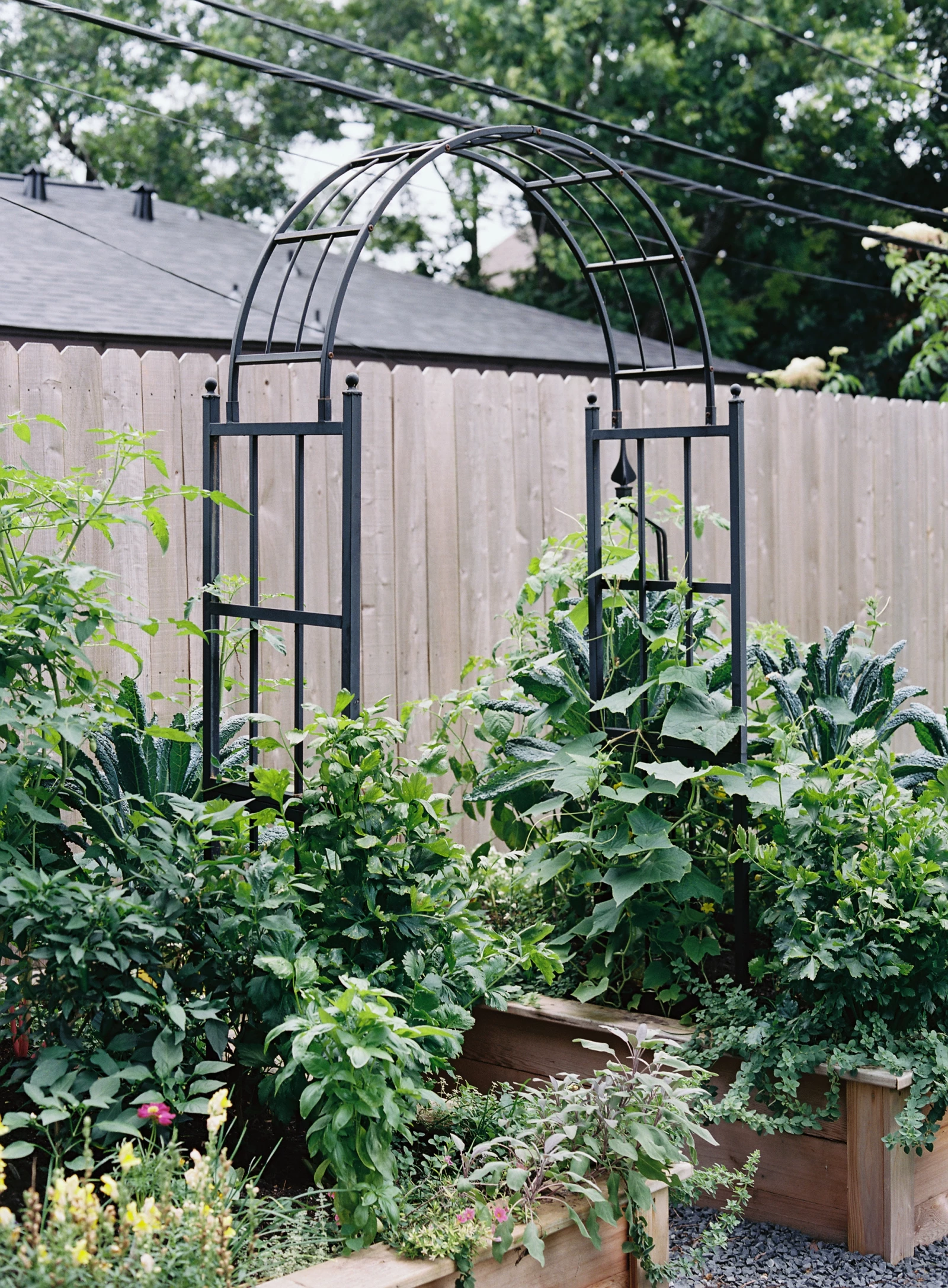 Arch Garden Trellis Ideas from Nicole Burke of Gardenary