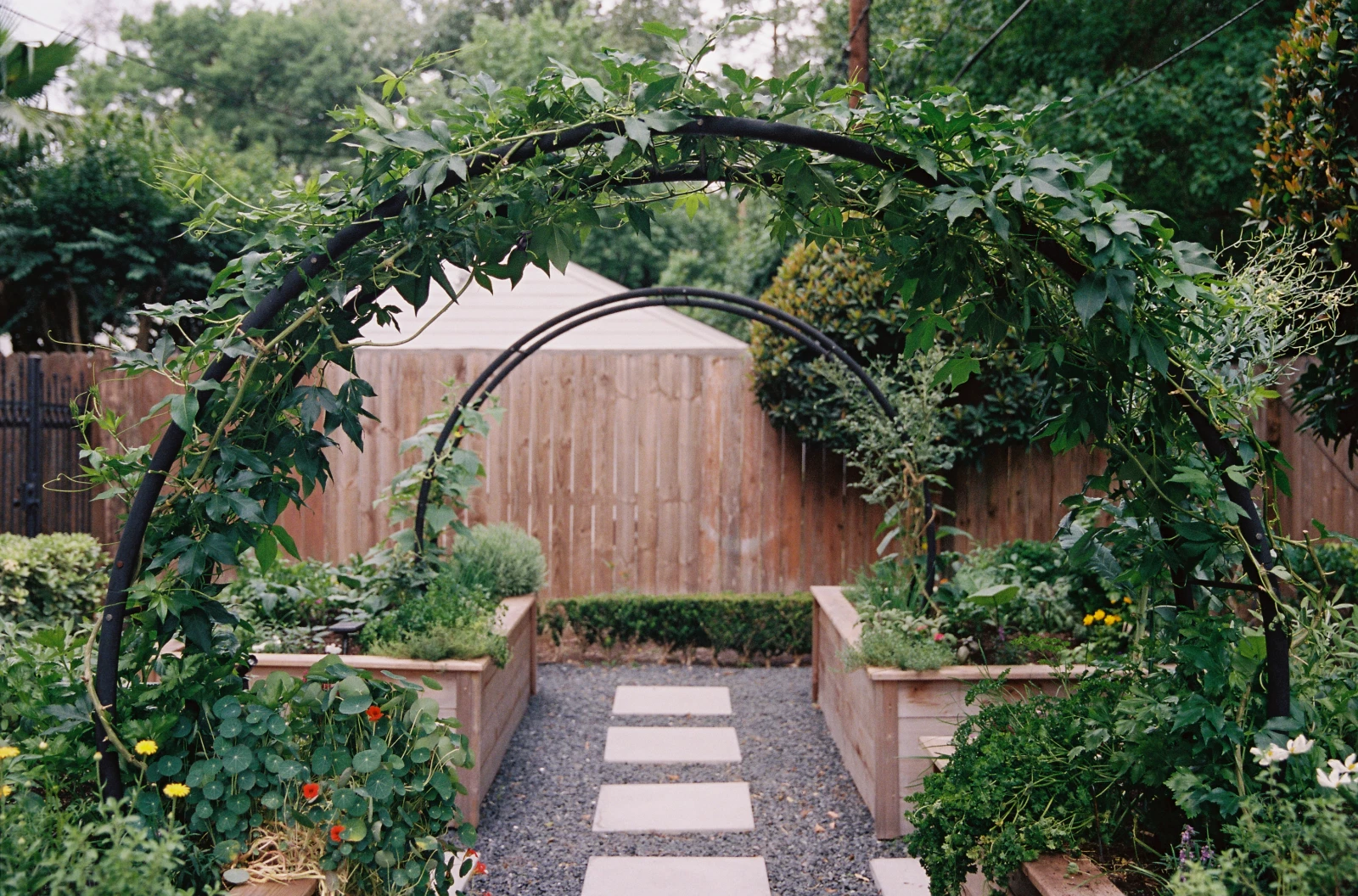 modern arch trellis