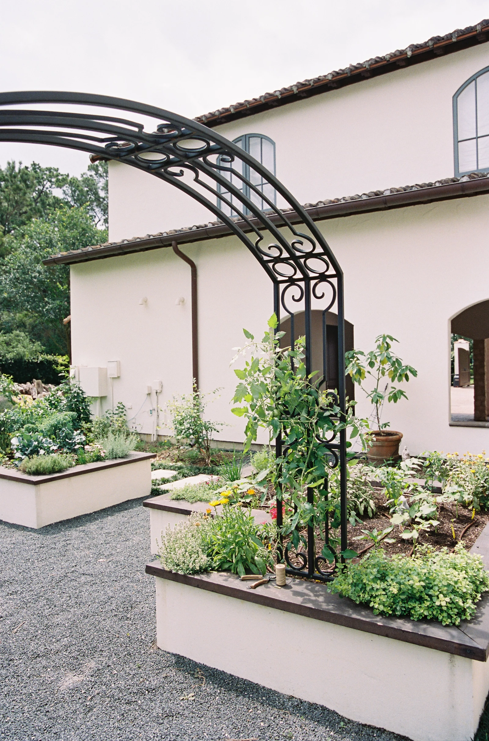 Arch Garden Trellis Ideas by Nicole Burke of Gardenary