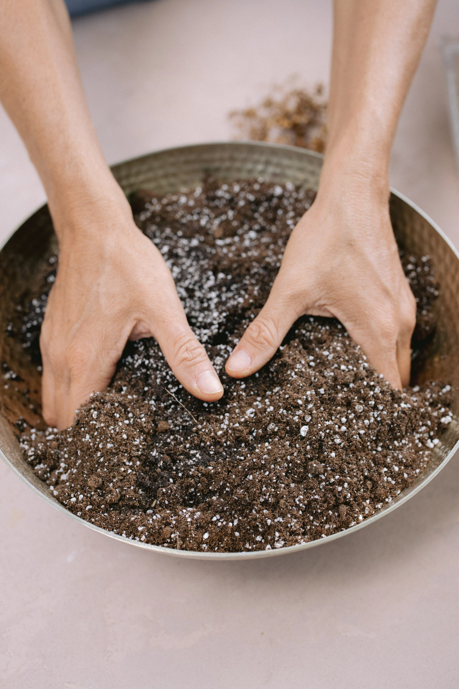 indoor seed starting setup includes an organic seed starting mix