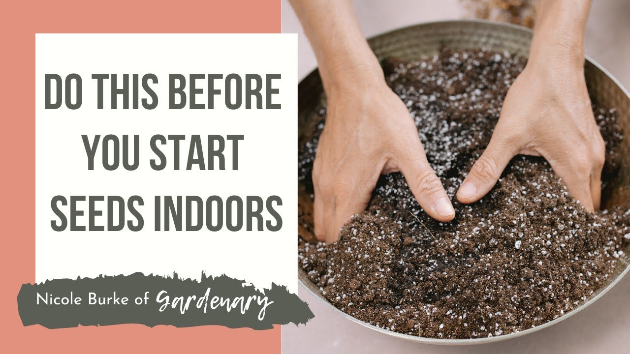 Do This Before You Start Seeds Indoors
