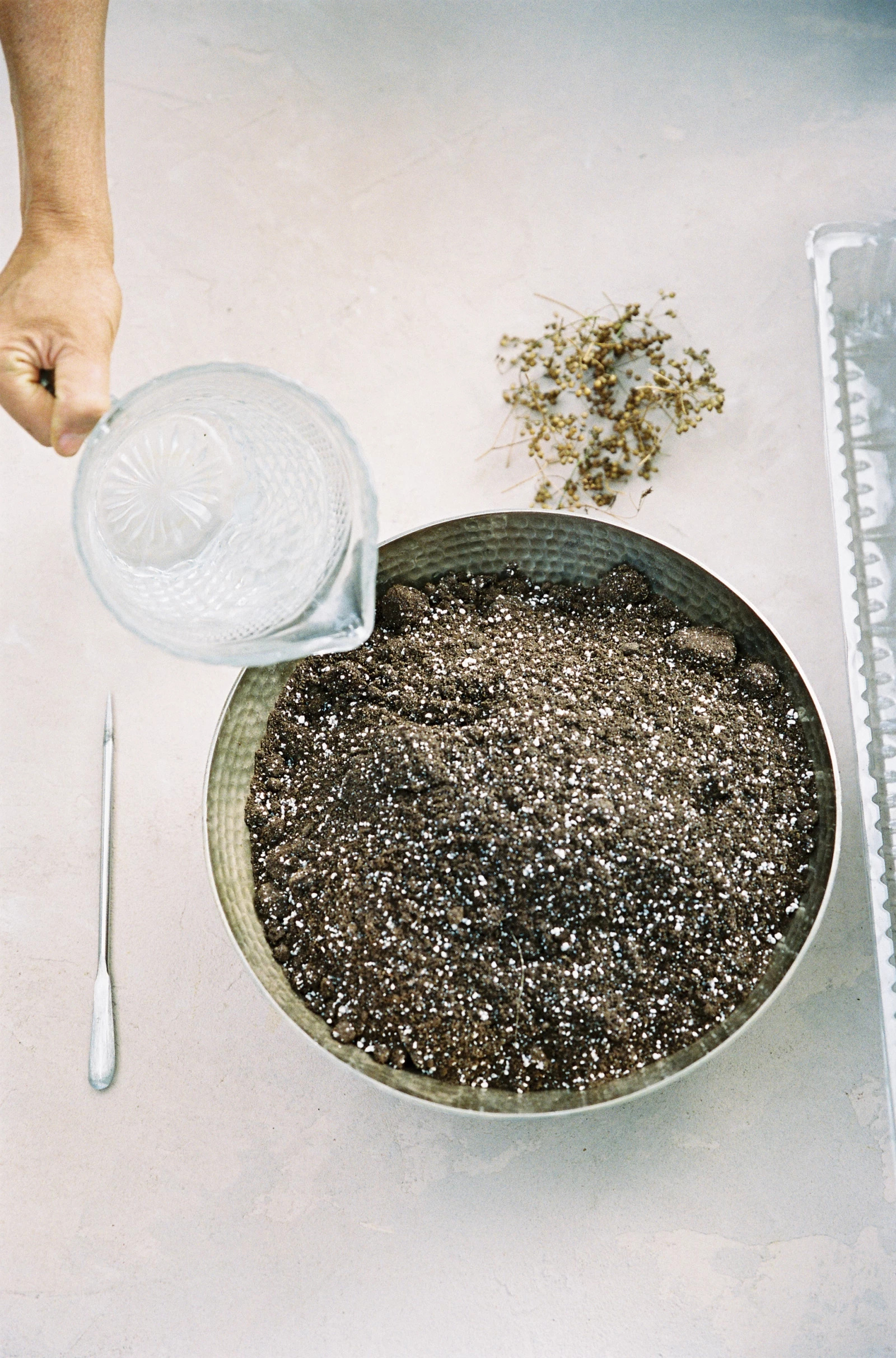 indoor seed starting tips