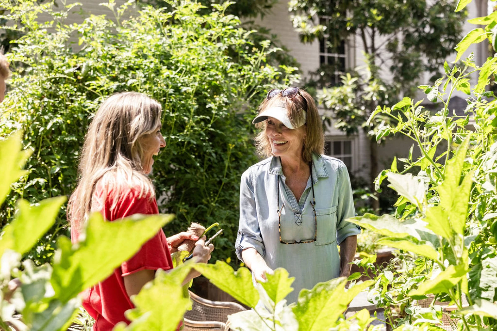garden consultation