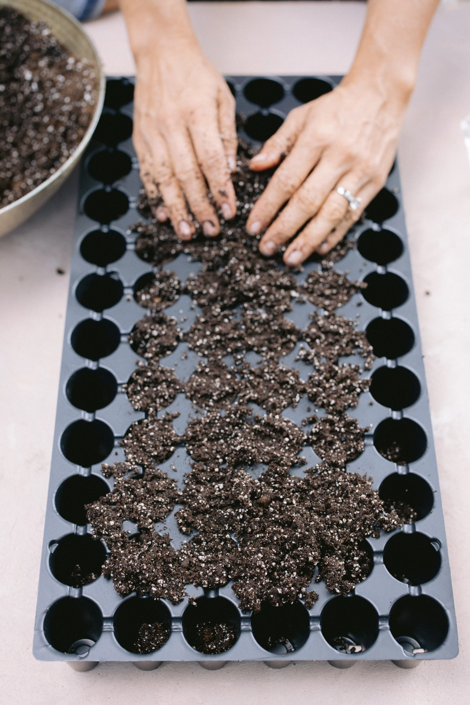 best seed starting mixes for seed starting indoors