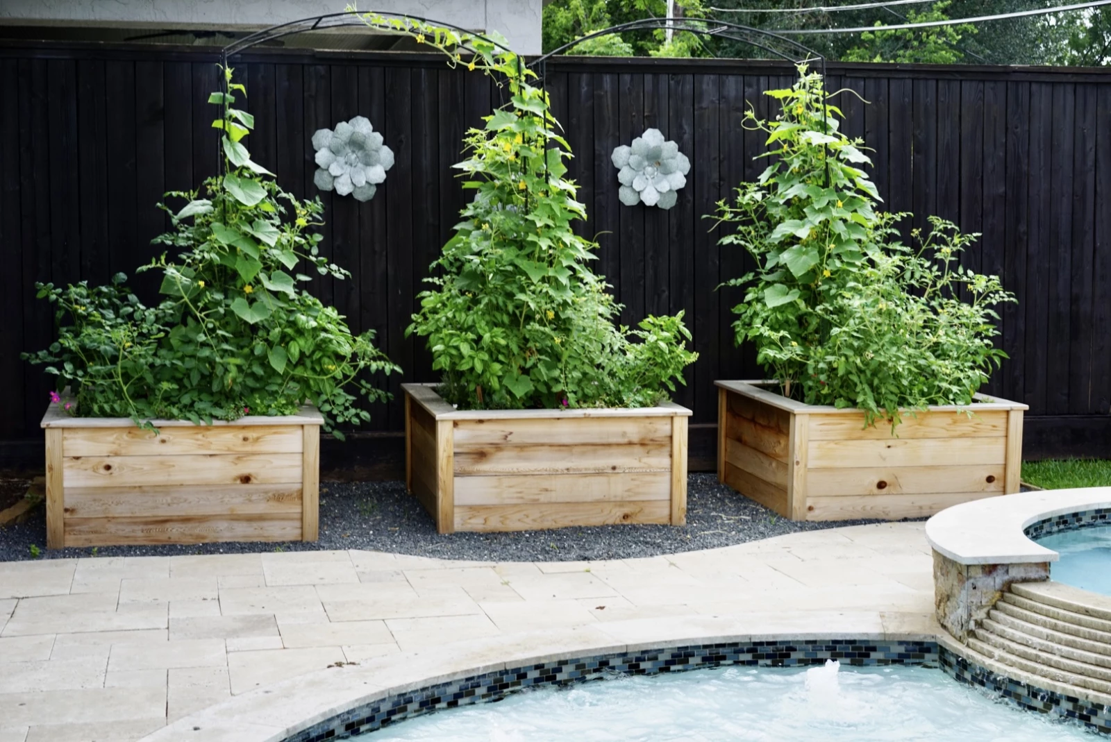 raised beds