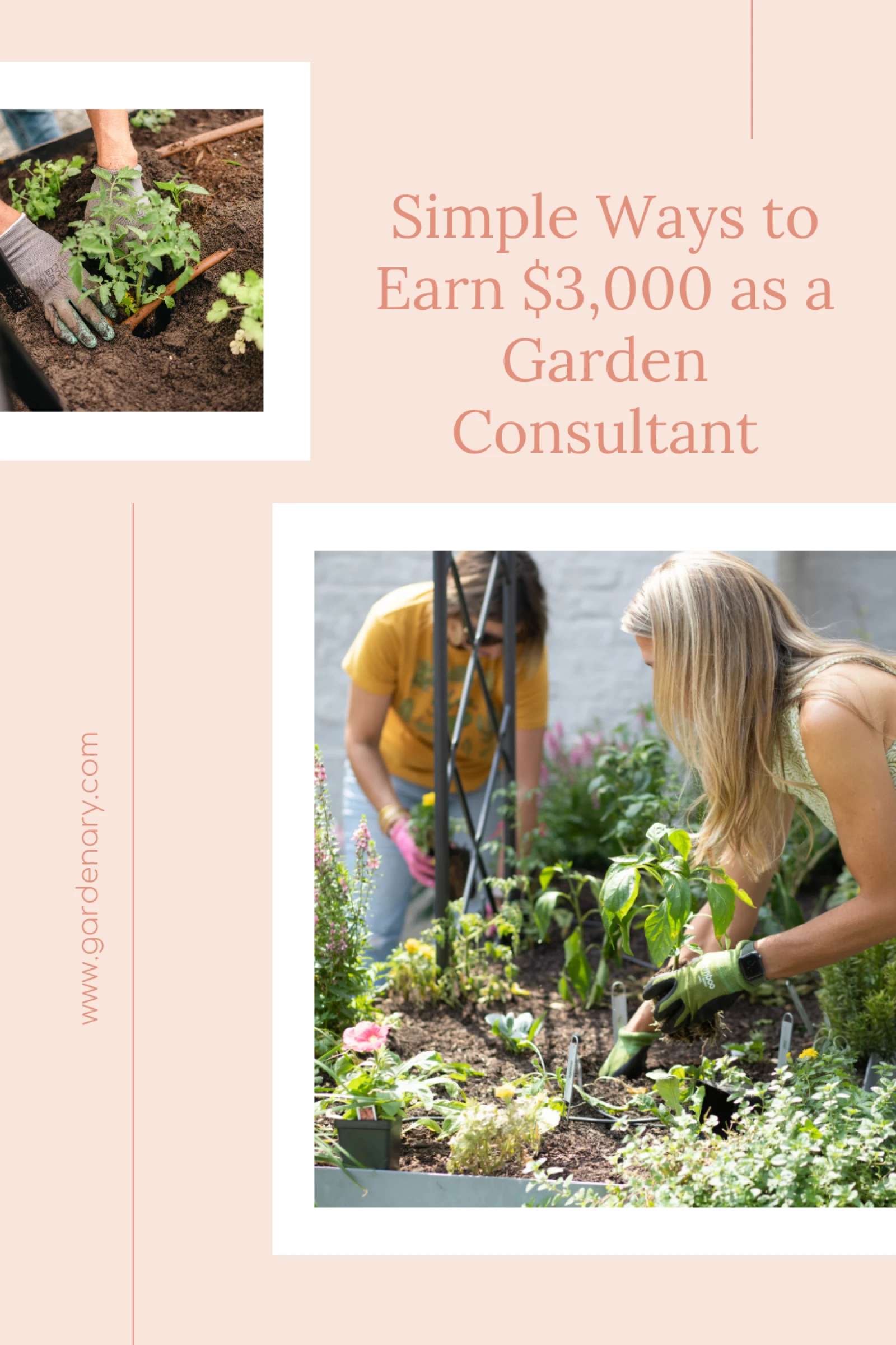 Simple Ways to Earn $3,000 as a Garden Consultant