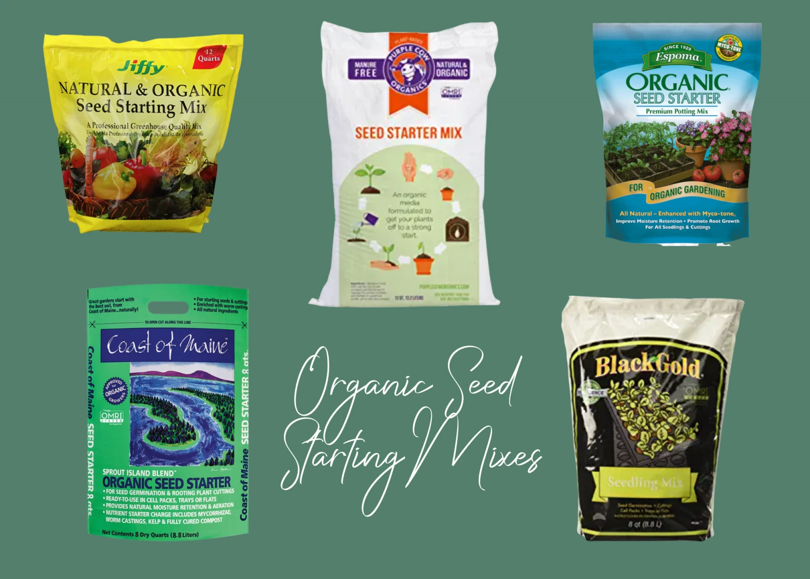 best mixes for how start seeds indoors