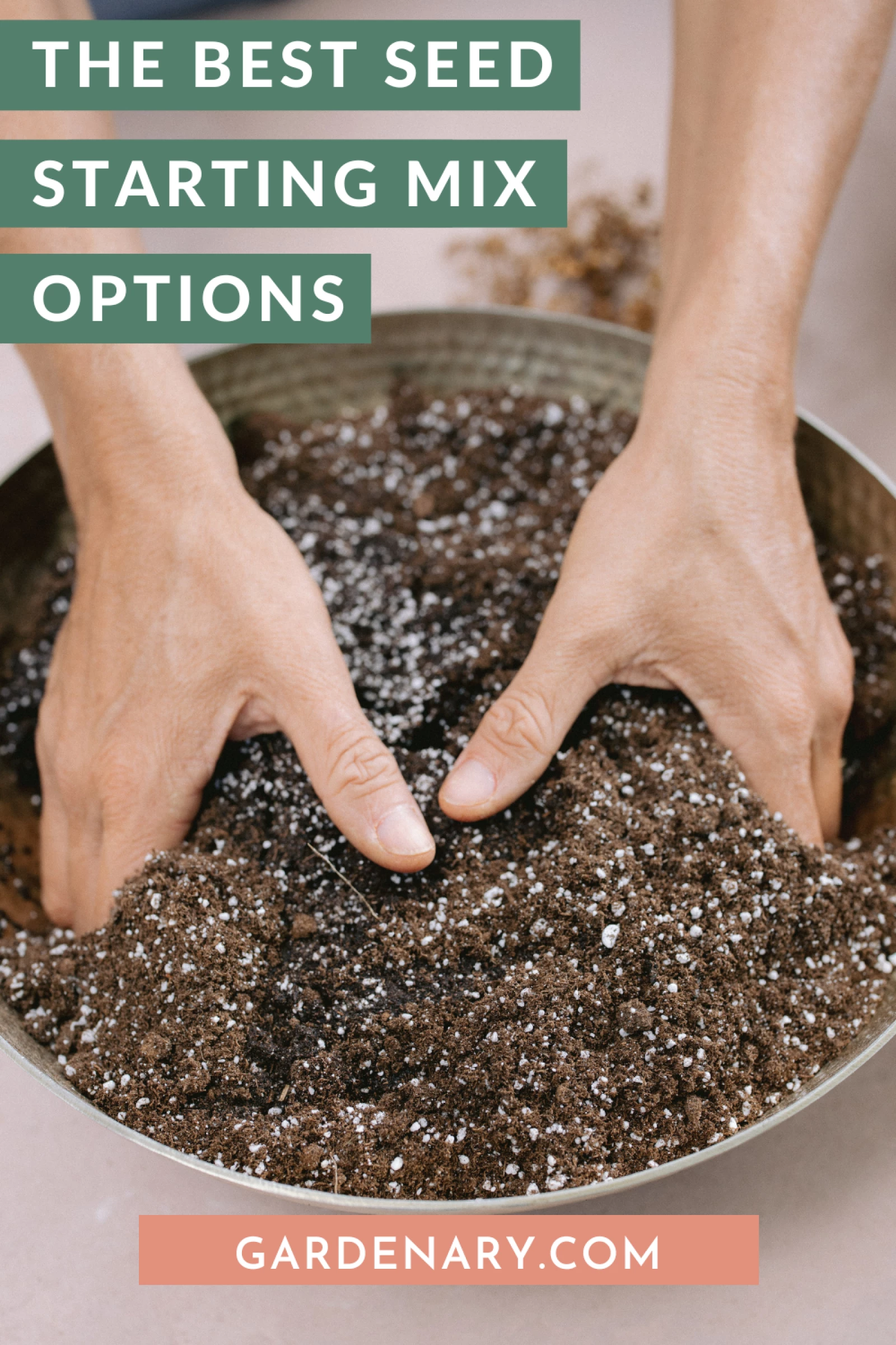 The Best Seed Starting Mix Options